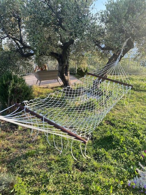Casa Vista Mare - Superb Garden And Parking Included Villa Imperia Exterior photo