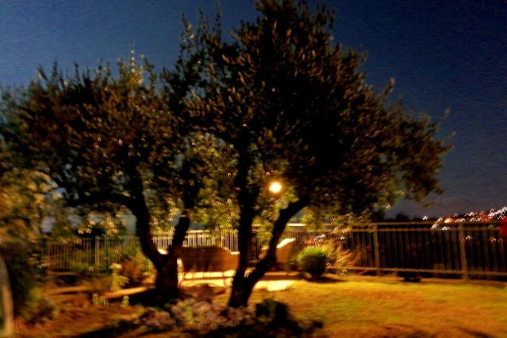 Casa Vista Mare - Superb Garden And Parking Included Villa Imperia Exterior photo